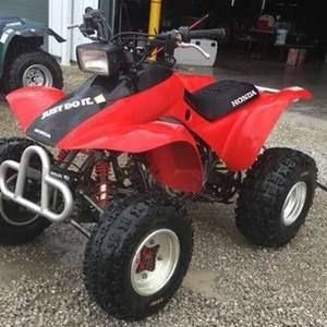 Meet your Posher, Bailey